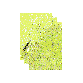 BLACKBIRD CRYSTALL Nummernschild-Aufkleberblätter mit Löchern 47X33 CM 3PK Fluogelb