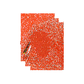 BLACKBIRD CRYSTALL Nummernschild-Aufkleberblätter mit Löchern 47X33 CM 3PK ORANGE